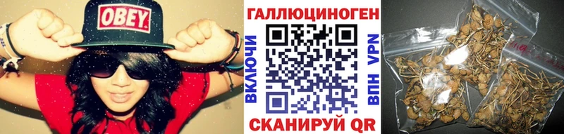 Галлюциногенные грибы Psilocybine cubensis Новотитаровская
