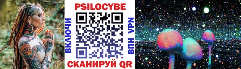 купить наркотик  Новотитаровская  Галлюциногенные грибы Magic Shrooms 